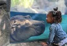 Zoos and Aquariums image